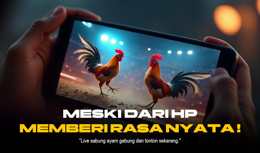 Mengenal Sabung Ayam SV388: Adu Ayam Modern dengan Odds Menarik