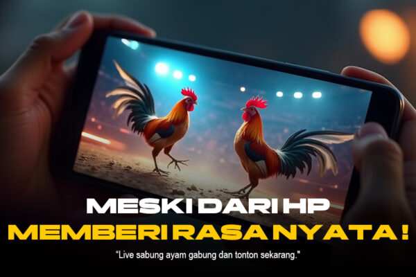 Mengenal Sabung Ayam SV388: Adu Ayam Modern dengan Odds Menarik
