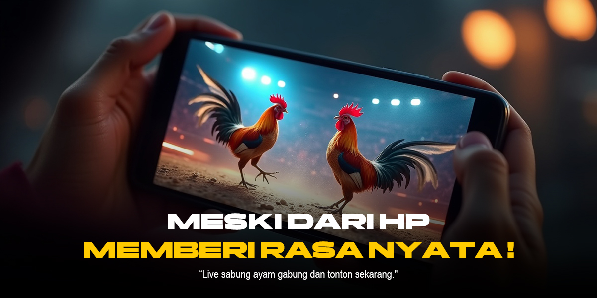 Mengenal Sabung Ayam SV388: Adu Ayam Modern dengan Odds Menarik