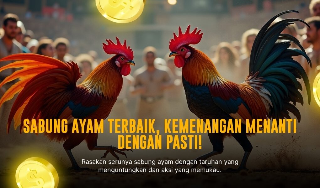 Mengenal Sabung Ayam Serama: Si Kecil Berbakat di Arena