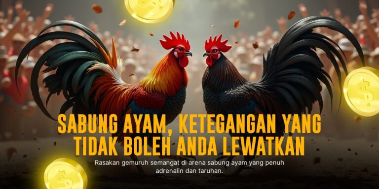 Menguak Rahasia Ayam Bangkok: Raja Sabung Ayam dengan SV388 Menguak Rahasia Ayam Bangkok: Raja Sabung Ayam dengan SV388