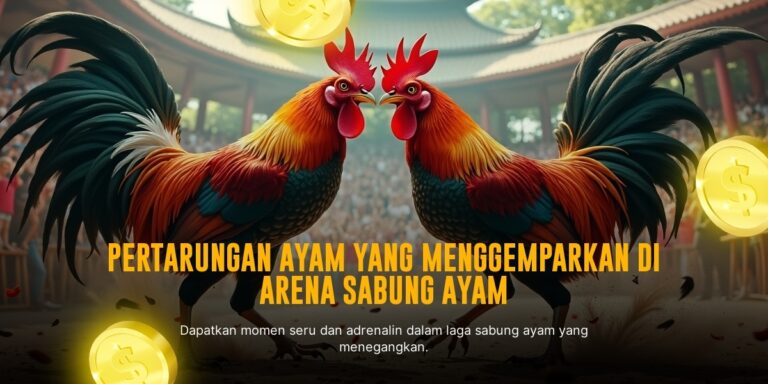 Mengenal Jenis Ayam Bangkok Dalam Sabung Ayam SV388
